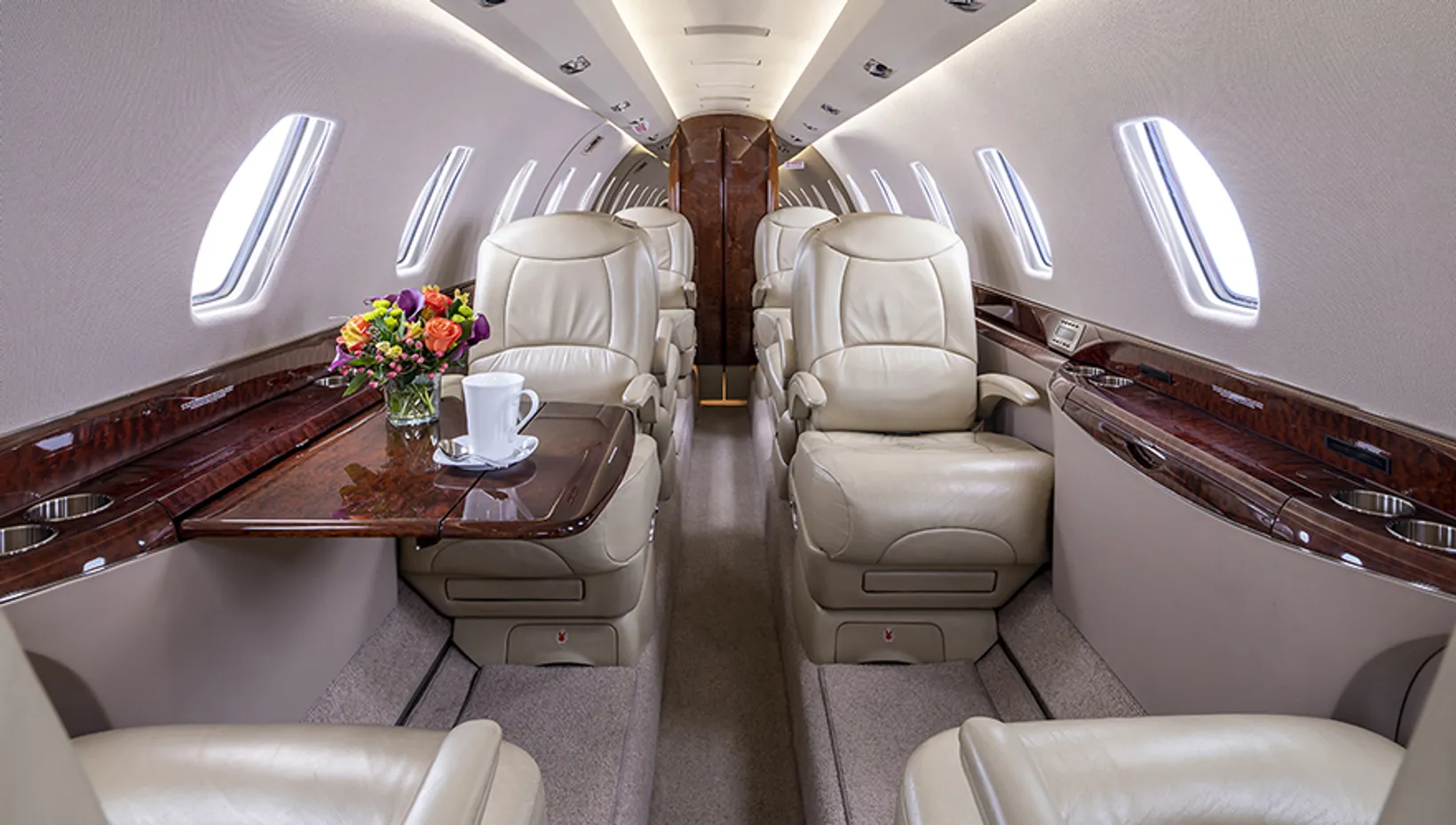 Cessna Citation X 1c